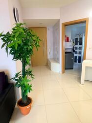 Eight Courtyards (D27), Condominium #581889721
